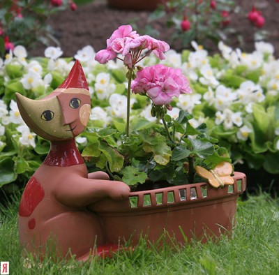 Они такие забавные смешные фото и видео  - .jpg