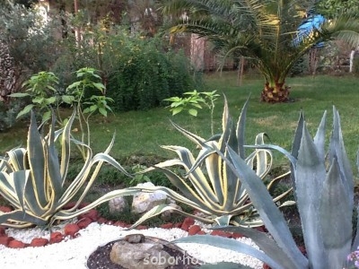 Россия_новости - image.jpg