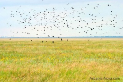 Игра Проверьте свою эрудицию  - обмена01.jpg