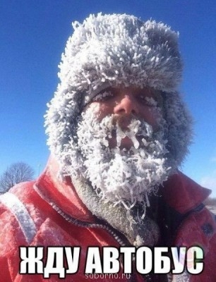 Бородатые люди - image.jpg