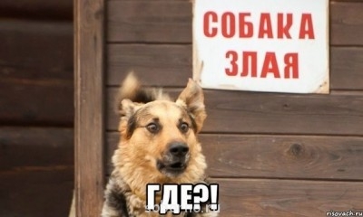 Они такие забавные смешные фото и видео  - image.jpg