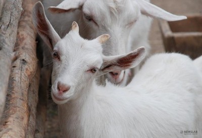 Аватар, аватар, аватар.... - 25f46868c49b.jpg