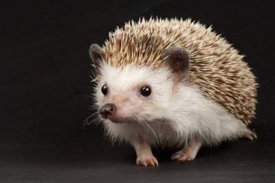 Аватар, аватар, аватар.... - sa1QvNPKSd8[1].jpg