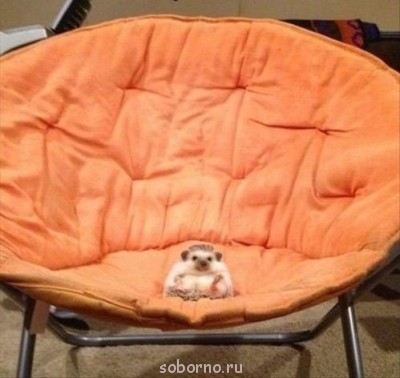 Аватар, аватар, аватар.... - image.jpg