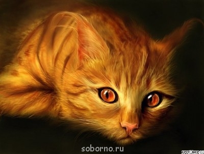 Аватар, аватар, аватар.... - lQIqJmnh7l.jpg