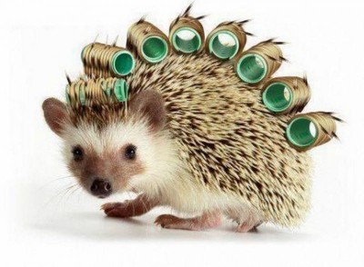 Аватар, аватар, аватар.... - 10169284_518352084957828_1217684768948304775_n.jpg