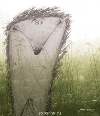 Аватар, аватар, аватар.... - RXtezbamXBY.jpg