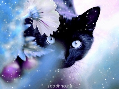 Аватар, аватар, аватар.... - image.jpg