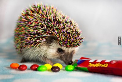 Аватар, аватар, аватар.... - U3eYPnTk5cv.jpg