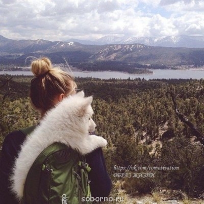 Доброе утро и Спокойной ночи  - image.jpg