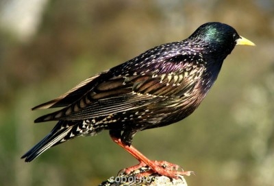 Посиделки - image (1).jpg