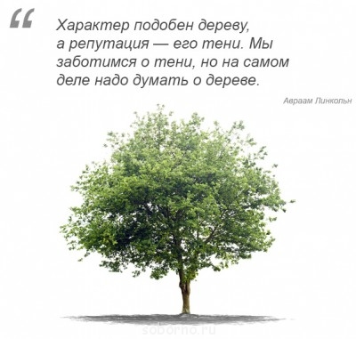 Мудрые мысли мудрых людей - jhyu МУДРЫЕ МЫСЛИ.jpg