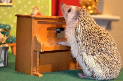 Аватар, аватар, аватар.... - 5Vhf52B9RtM.jpg