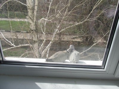 Они такие забавные смешные фото и видео  - 2.jpg