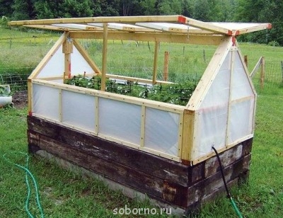 Наша дача и приусадебный участок - getImage (1).jpg