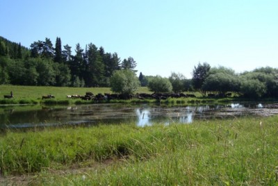 Храм-памятник Святителя Николая в с.Кленовском - nt_2.jpg