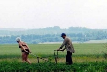 Умом Россию не понять, аршином общим не измерить... - 10.jpg