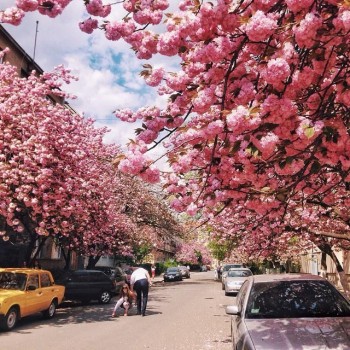 RU - рідна Україна - 11182100_1575696059369509_5635098960858345064_n.jpg