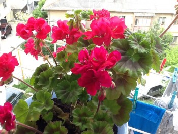 Будем помнить... - image.jpg