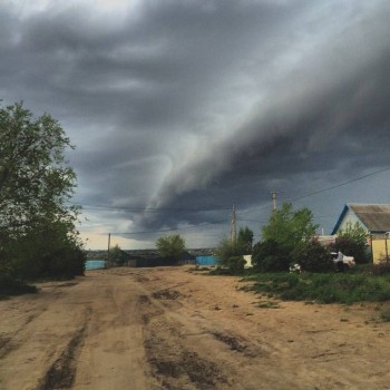 Наша дача и приусадебный участок - C142Hbi-nNY.jpg