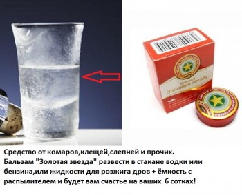 Наша дача и приусадебный участок - 2006073.jpg