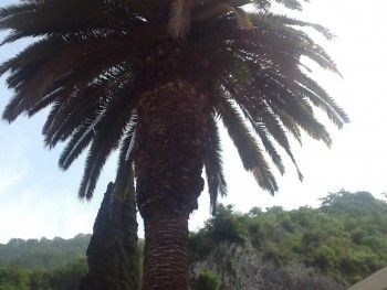 Доброе утро и Спокойной ночи  - image.jpg