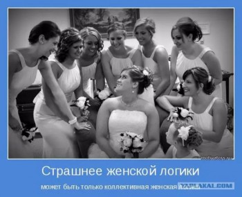 Женская логика - image.jpg