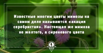 Всякая всячина - c4cf88412b0ebf11443d25e5c4ef1cdd.jpg