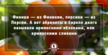Всякая всячина - c55551f7dd0739f39278c3bb956ebed4.jpg