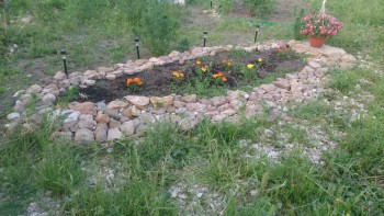 Наша дача и приусадебный участок - DSC_0490.JPG