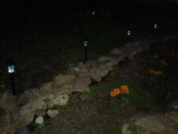 Наша дача и приусадебный участок - DSC_1922.jpg