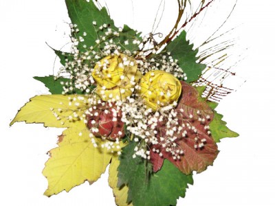 С ДНЁМ РОЖДЕНИЯ  - IMG_4626.jpg