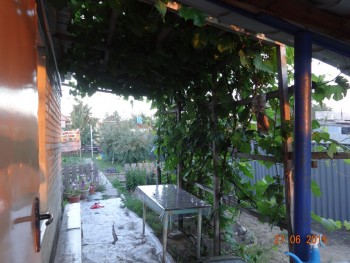 Наша дача и приусадебный участок - DSC00028.JPG