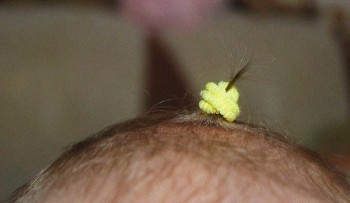 Доброе утро и Спокойной ночи  - image.jpg