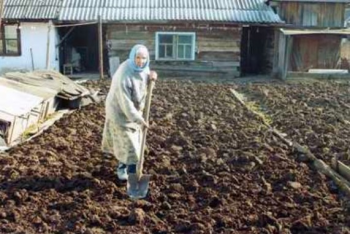 Любовь не умирает - 0000.png