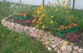 Наши цветы. В саду - DSC_0695.JPG