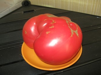 Наша дача и приусадебный участок - IMG_7257.jpg