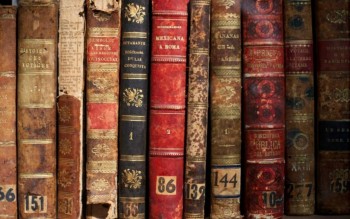 Включаю компьютер и... - Фоновый рисунок средства просмотра фотографий Windows.jpg