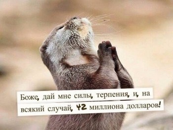 Посиделки - image.jpg