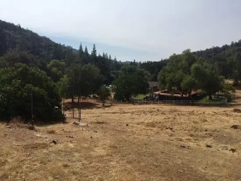 Новости из дальнего зарубежья - image.jpg