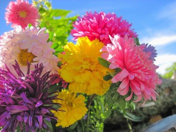 Включаю компьютер и... - image.jpg