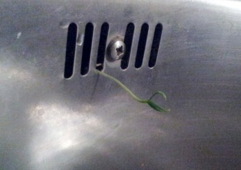 Всякая всячина - 111.jpg