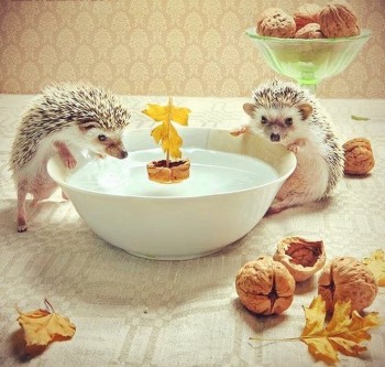 Аватар, аватар, аватар.... - image.jpg