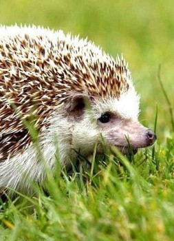 Аватар, аватар, аватар.... - NcSM3wgFXCw (1).jpg