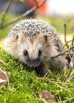 Аватар, аватар, аватар.... - UNPOQcmDhXw.jpg