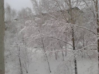 Каждая погода - благодать... - 20151030_085400.jpg