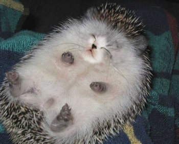 Аватар, аватар, аватар.... - 0_b6caf_9b20ffbd_L.jpg