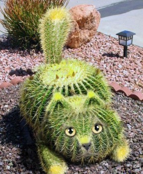 Аватар, аватар, аватар.... - 05f6d5a368ff.jpg