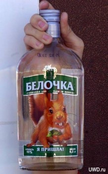 Фуршет по поводу  - 1320832517_1319475495_vodka-adskaya-belochka-003.jpg