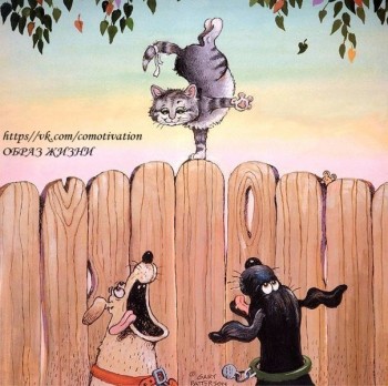 Аватар, аватар, аватар.... - 7K32MelEQBA.jpg